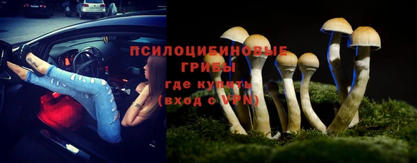 кокс Снежногорск
